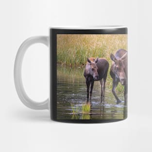 Rocky Mountain Moose Mug